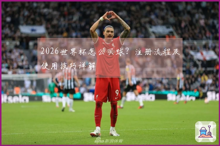 2026世界杯怎么买球？注册流程及使用技巧详解