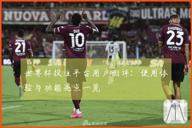 世界杯投注平台用户测评：使用体验与功能亮点一览