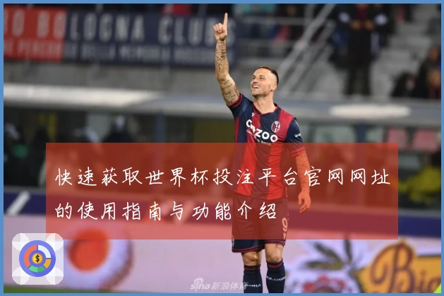 快速获取世界杯投注平台官网网址的使用指南与功能介绍