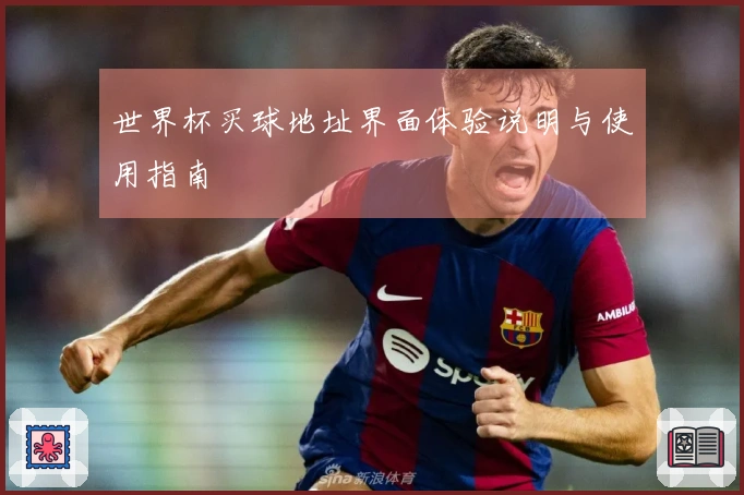 世界杯买球地址界面体验说明与使用指南