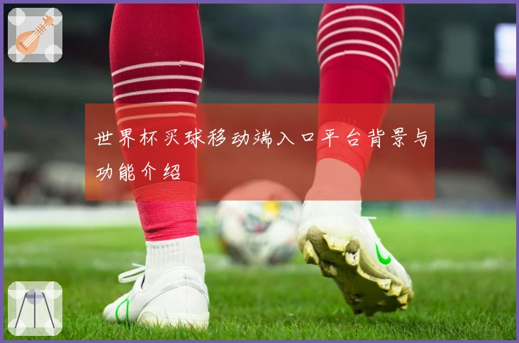 世界杯买球移动端入口平台背景与功能介绍