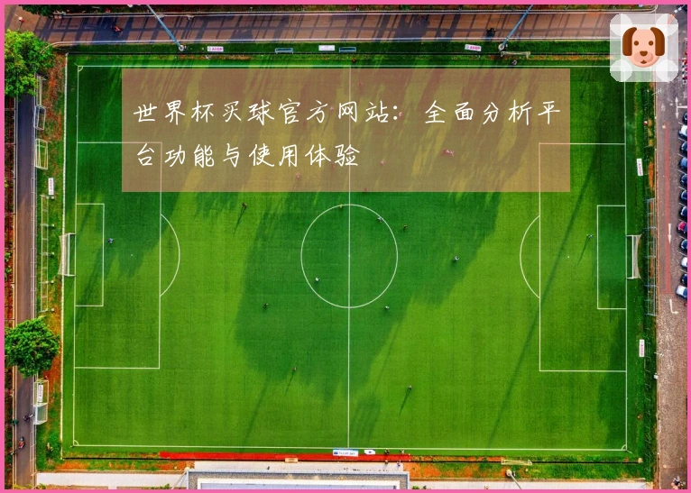 世界杯买球官方网站：全面分析平台功能与使用体验