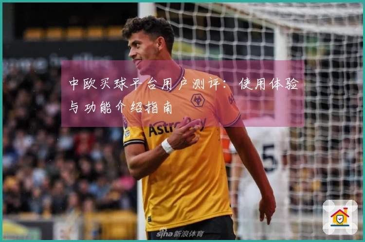中欧买球平台用户测评：使用体验与功能介绍指南