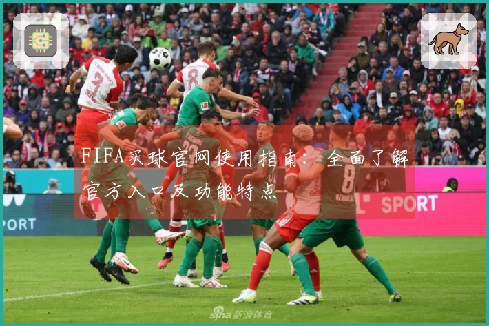 FIFA买球官网使用指南：全面了解官方入口及功能特点