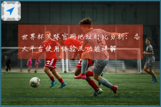 世界杯买球官网地址对比分析：各大平台使用体验及功能详解