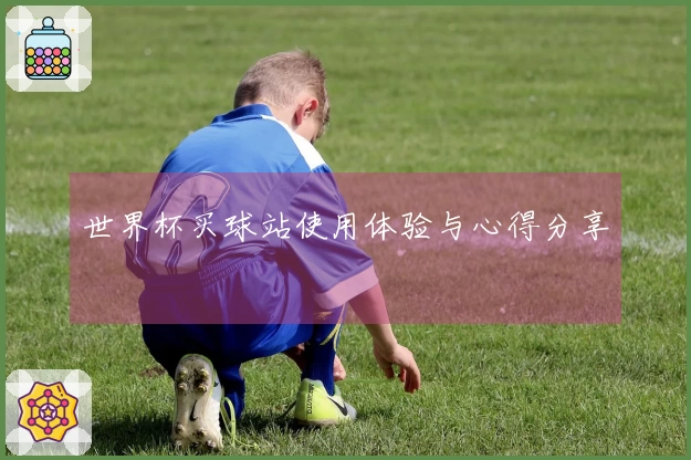 世界杯买球站使用体验与心得分享