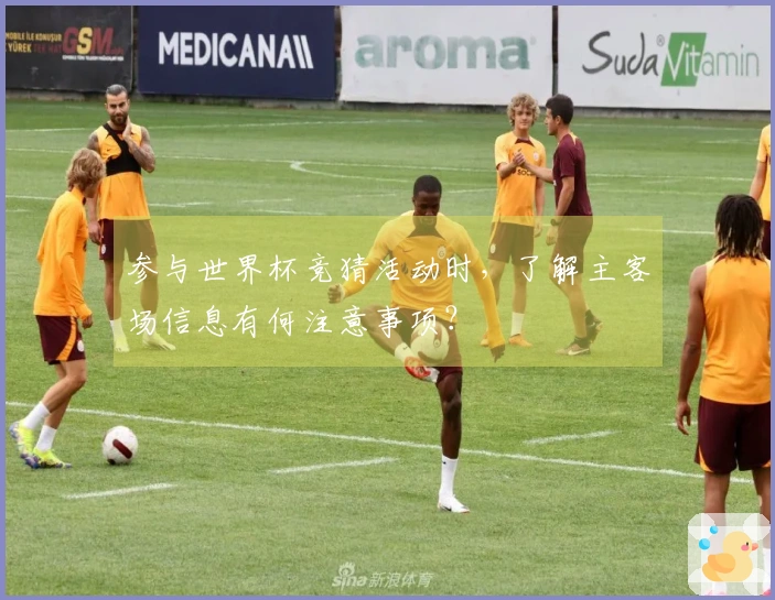 参与世界杯竞猜活动时,了解主客场信息有何注意事项?