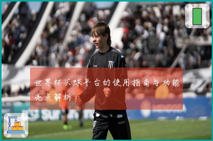 世界杯买球平台的使用指南与功能亮点解析