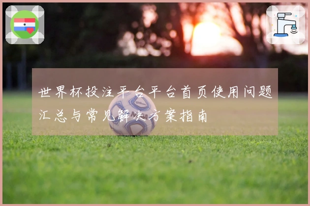 世界杯投注平台平台首页使用问题汇总与常见解决方案指南