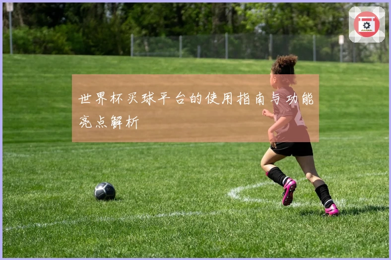 世界杯买球平台的使用指南与功能亮点解析
