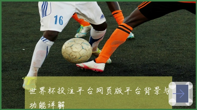 世界杯投注平台网页版平台背景与功能详解