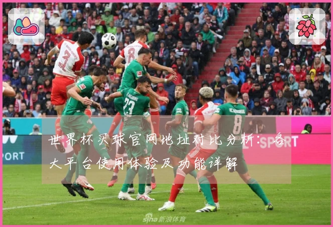 世界杯买球官网地址对比分析：各大平台使用体验及功能详解