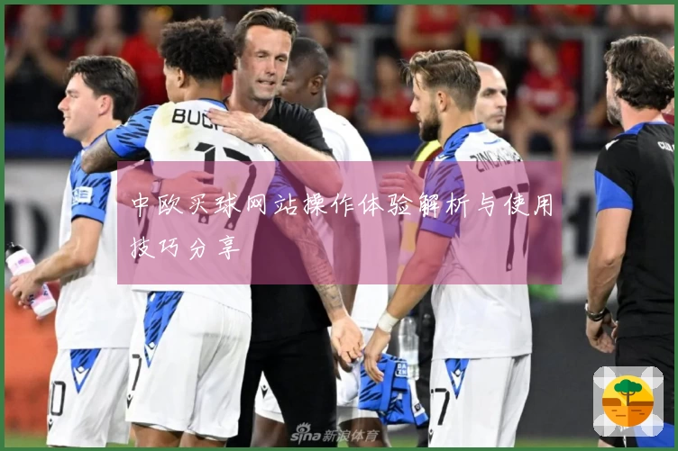 中欧买球网站操作体验解析与使用技巧分享