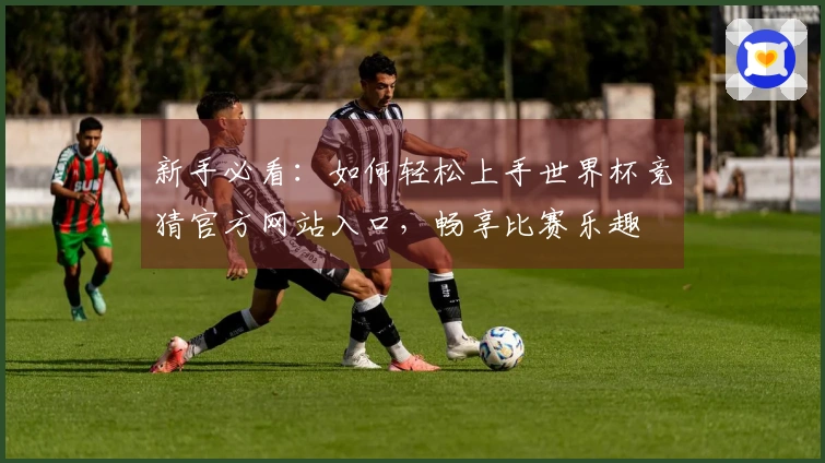 新手必看：如何轻松上手世界杯竞猜官方网站入口，畅享比赛乐趣