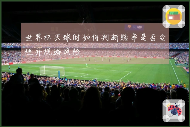 世界杯买球时如何判断赔率是否合理并规避风险