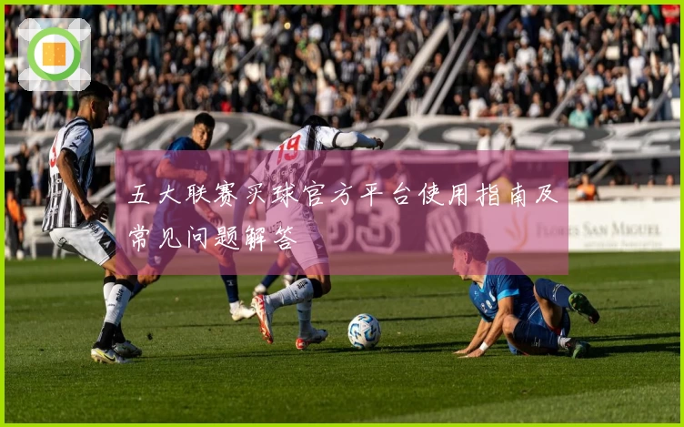 五大联赛买球官方平台使用指南及常见问题解答