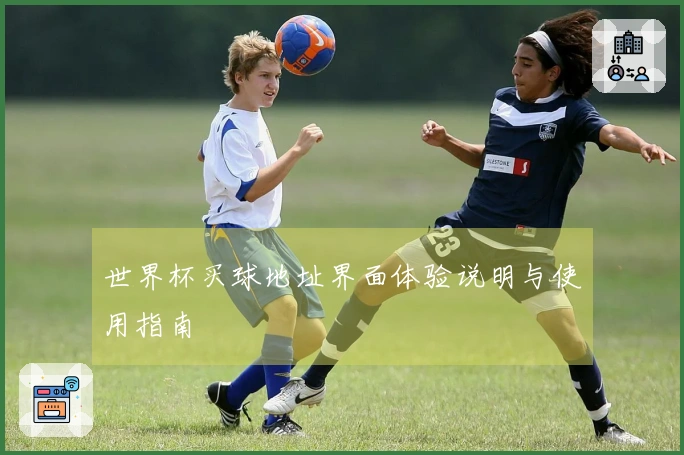 世界杯买球地址界面体验说明与使用指南