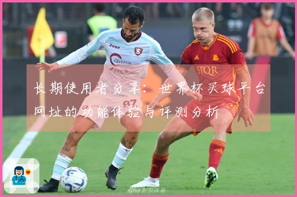 长期使用者分享：世界杯买球平台网址的功能体验与评测分析