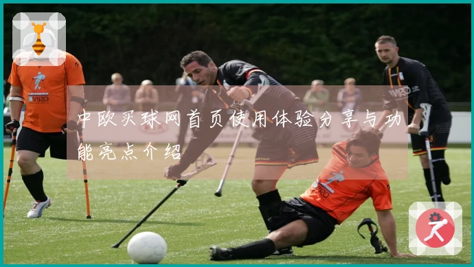 中欧买球网首页使用体验分享与功能亮点介绍