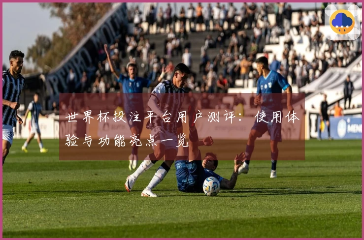 世界杯投注平台用户测评：使用体验与功能亮点一览