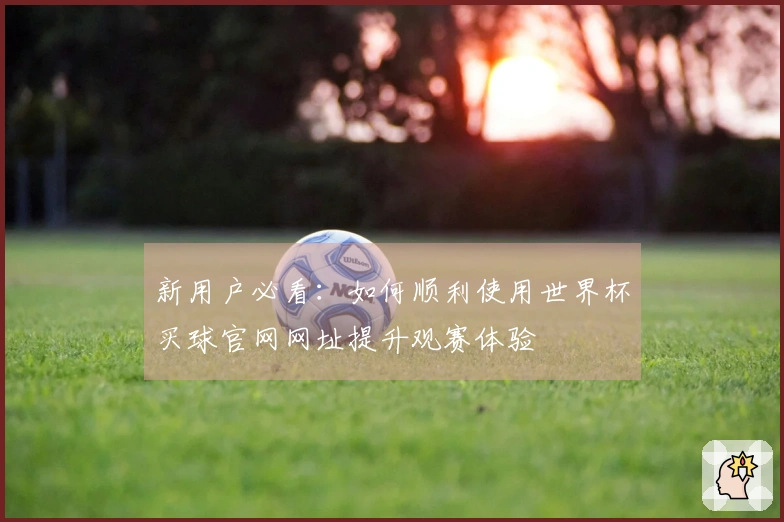 新用户必看：如何顺利使用世界杯买球官网网址提升观赛体验