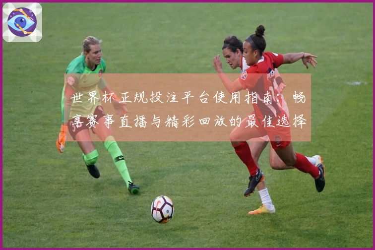 世界杯正规投注平台使用指南：畅享赛事直播与精彩回放的最佳选择